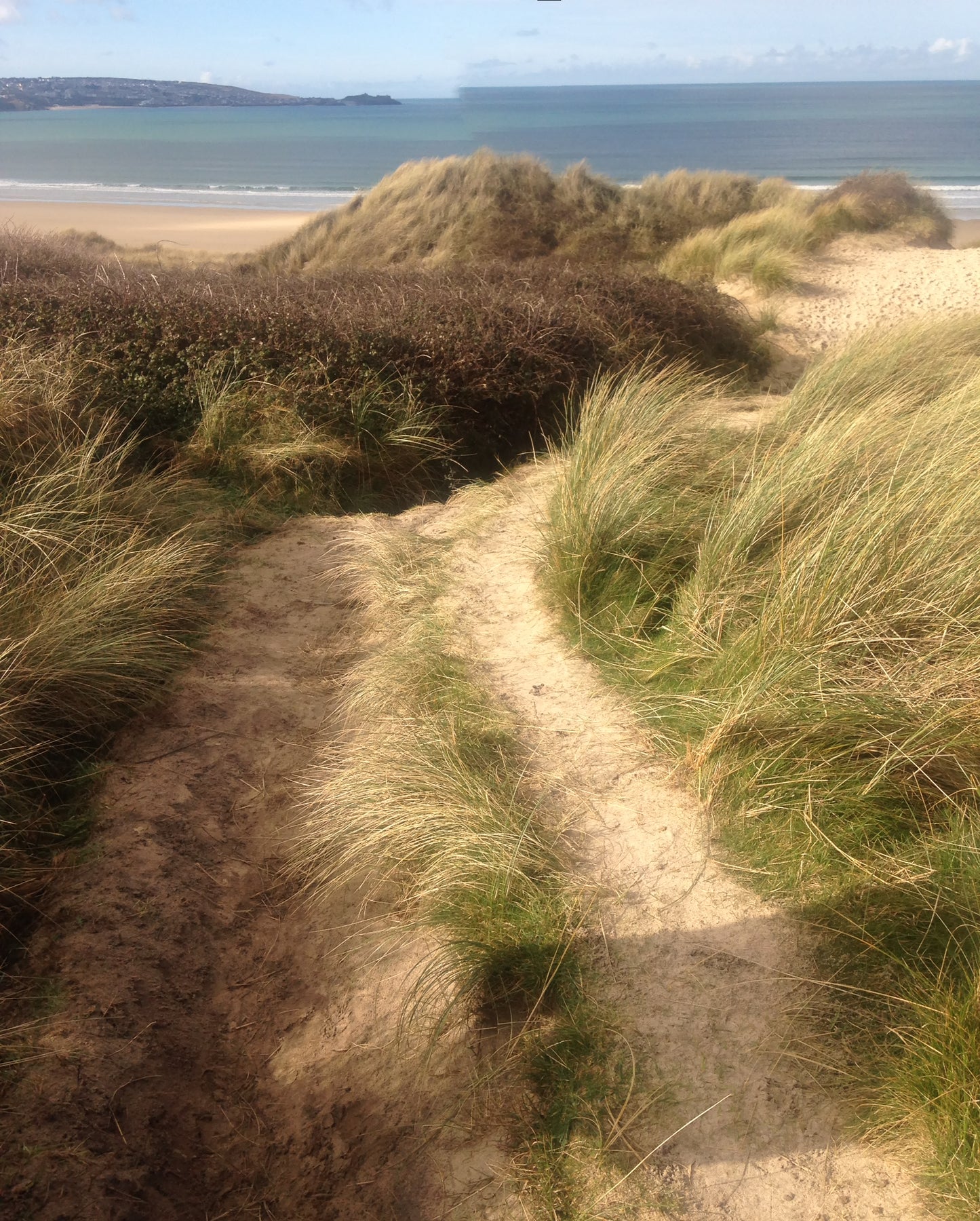 Coastal Path Scented Diffuser - handmade in Cornwall