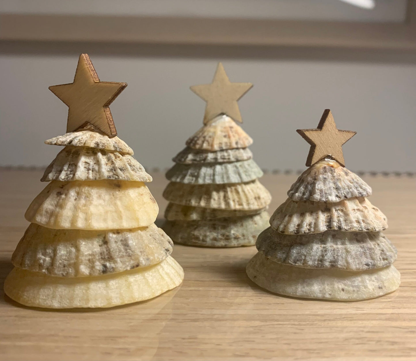 Limpet Shell Trees